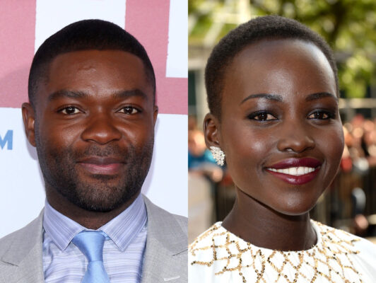 LUPITA NYONG’O AND DAVID OYELOWO TO STAR IN CHIMAMANDA ADICHIE’S AMERICANAH